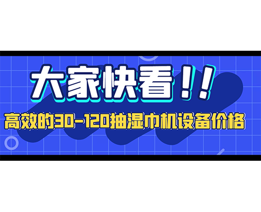 高效的30-120抽湿巾机设备价格