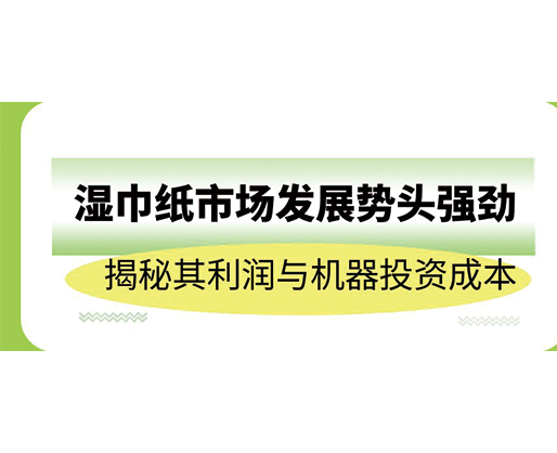 湿巾纸市场发展势头强劲，揭秘其利润与机器投资成本