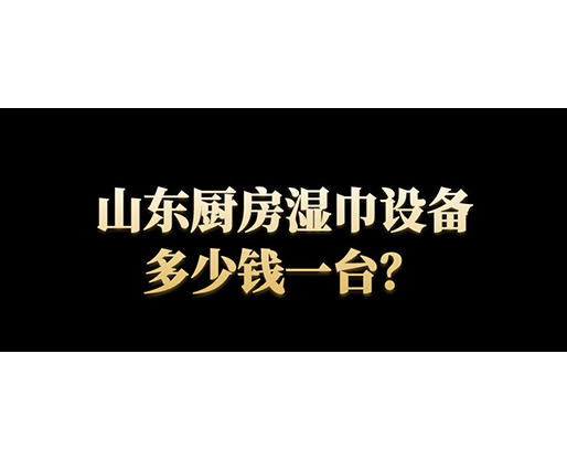 山东厨房湿巾设备多少钱一台？