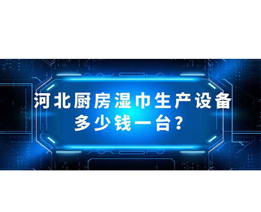 河北厨房湿巾生产设备多少钱一台？