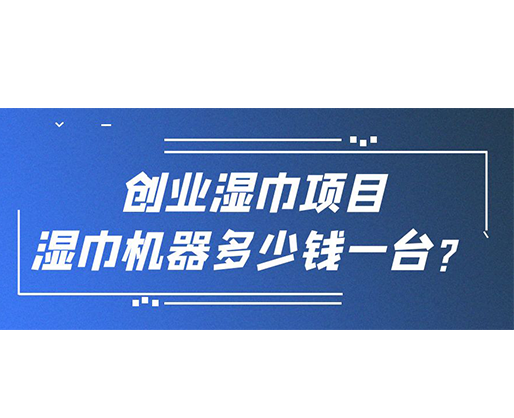 创业湿巾项目，湿巾机器多少钱一台？